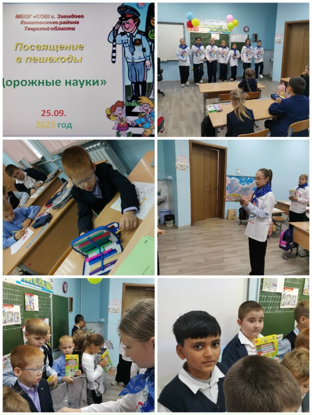 Профилактическая работа отряда