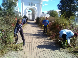 Экологическая акция