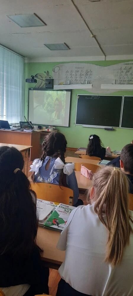 Foto 5